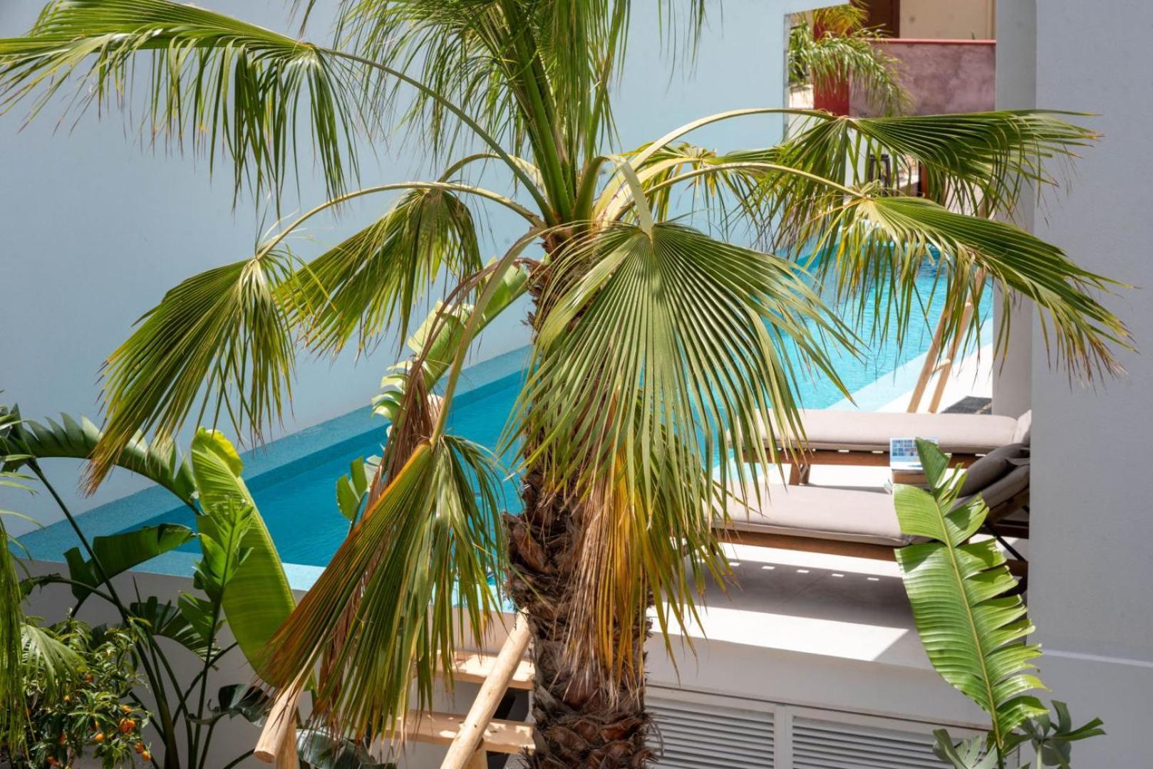 D Palm Premium Living - Kalathas, Chania Holiday home Chania (Crete)